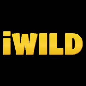 iWild kasyno online recenzja